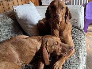 Mother & son