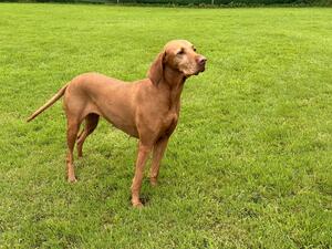 Heidi posing 27kg