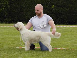Goldenhicks sett babe (13 months old )