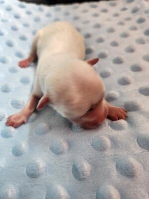 Little boy 3 days old