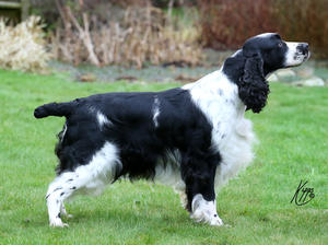 Oscar Standing