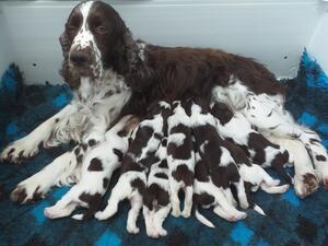 Proud Mum
