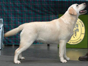 Seatallan Vanilla