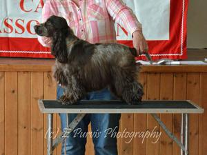 Ripple 10 months old