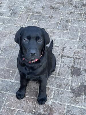 Tex