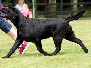 Harrop Hearsay at 6 months
