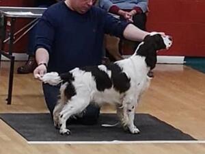 A very young Darcy at 8 Months old