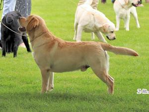 Tampa Bay's Marco Polo for Eagle Pond