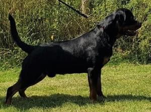 EZE 19 MONTHS