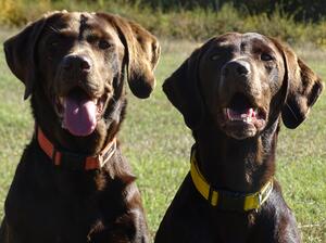 Tula and daughter Fizz