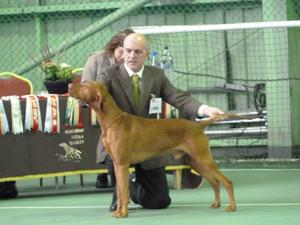 Alfie 1st Post Grad Dog