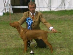 Misty Best Puppy in Show
