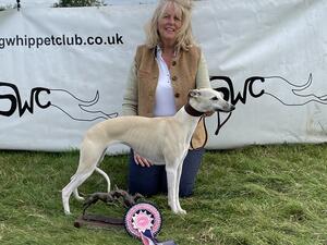 Purdy winning Top Puppy 2023 SWC