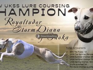 UKSS Champion