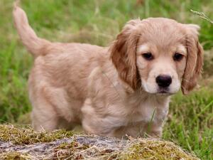Orla at 8 weeks
