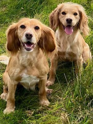 Lily on left with daughter Orla