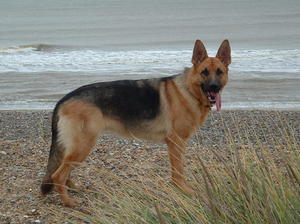 Mabel 12 Months