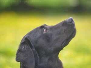 Nell 3 years