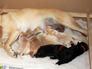 6 Days Old
