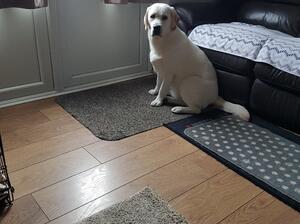 Rosie Sweet Chilled Girl