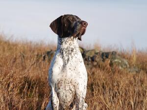 Jäger in his element