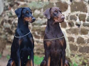 Oksana and Titus