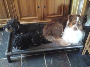 Dudley, Ralph & Baxta