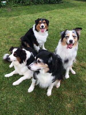 Summa, Tosca, Daisy & Emmy