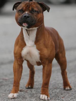 Lenny 19 months