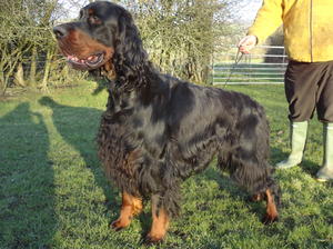 Fraser