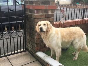 Nala (dam)