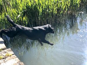 Keen In Water