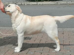 10 Months old