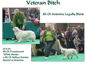 Bo @ Crufts 2012