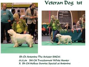 Aaron @ Crufts 2012