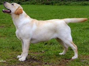 Dee at 6mths