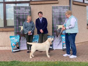 Breeze winning Best Puppy in Show