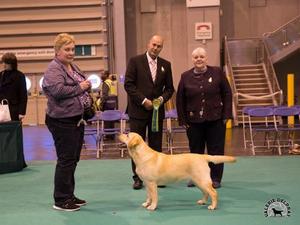 Lola, Best Puppy in Breed CRUFTS 2016