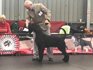 Sire Draxpark Lots to Like