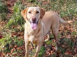 Dilly loves to be out having fun