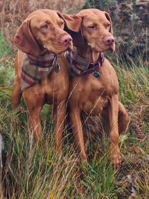 Maya and daughter indie