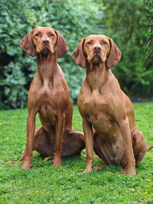 Maya and her daughter Indie