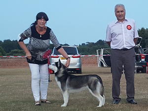 DARLA BPIS DOVER & DEAL