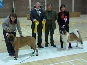 Kimchi's First Show