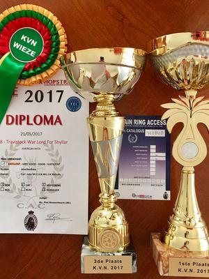 Awards BIS 3