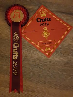 CRUFTS ROSETTE
