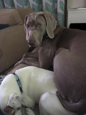 Lola and Max these days