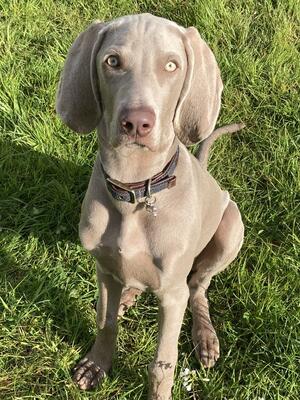 Taro @ 41/2 months
