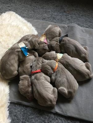 Early days; time flies