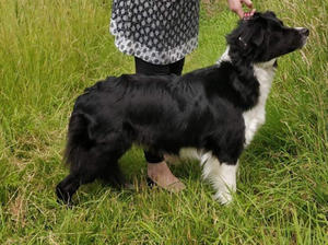 Darian Ready For My Close Up With Jachelm - Mabel